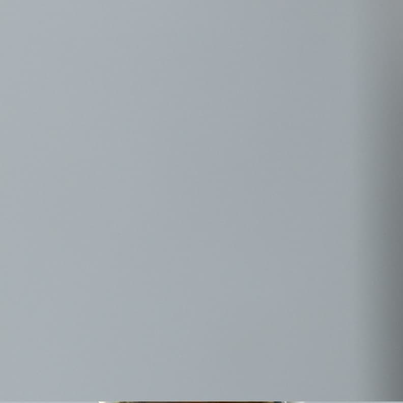 3.65ct | Radiant | E | VVS2 | Excellent